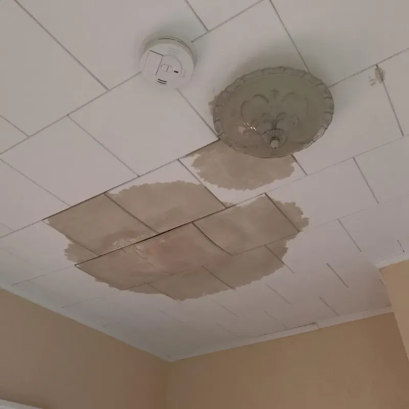 Ceiling Water Damage Repair in Alcoa, TN