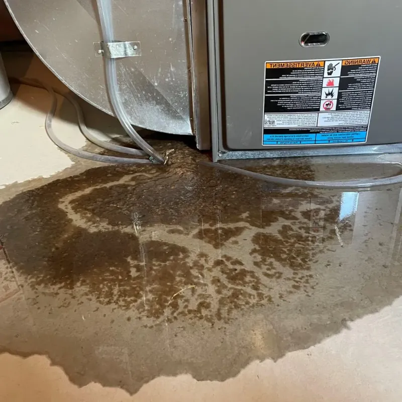 Pipe Burst and Leak Restoration in Alcoa, TN