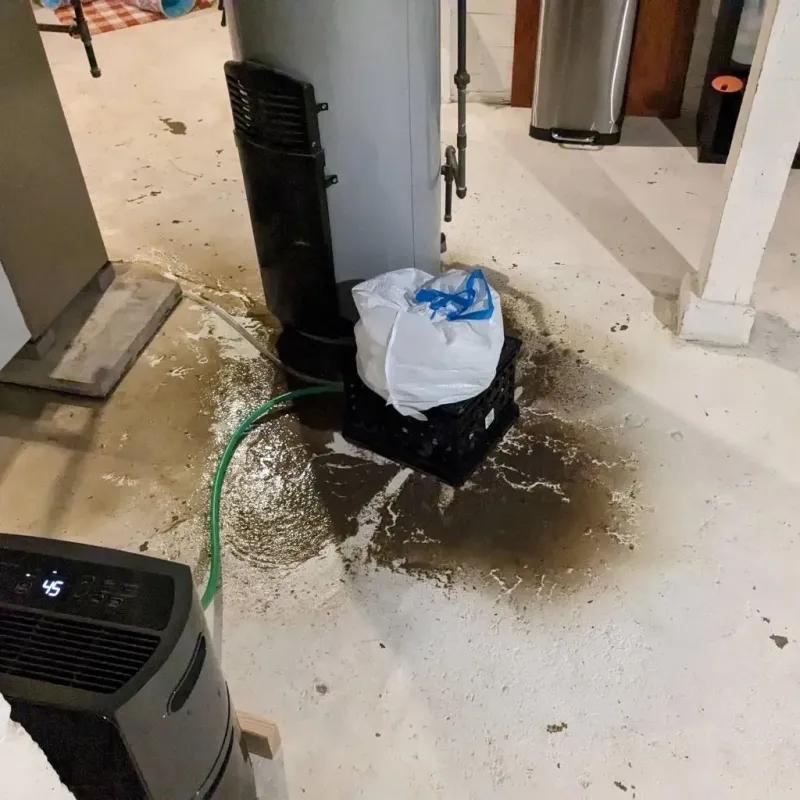 Sewage Backup Cleanup Service in Alcoa, TN